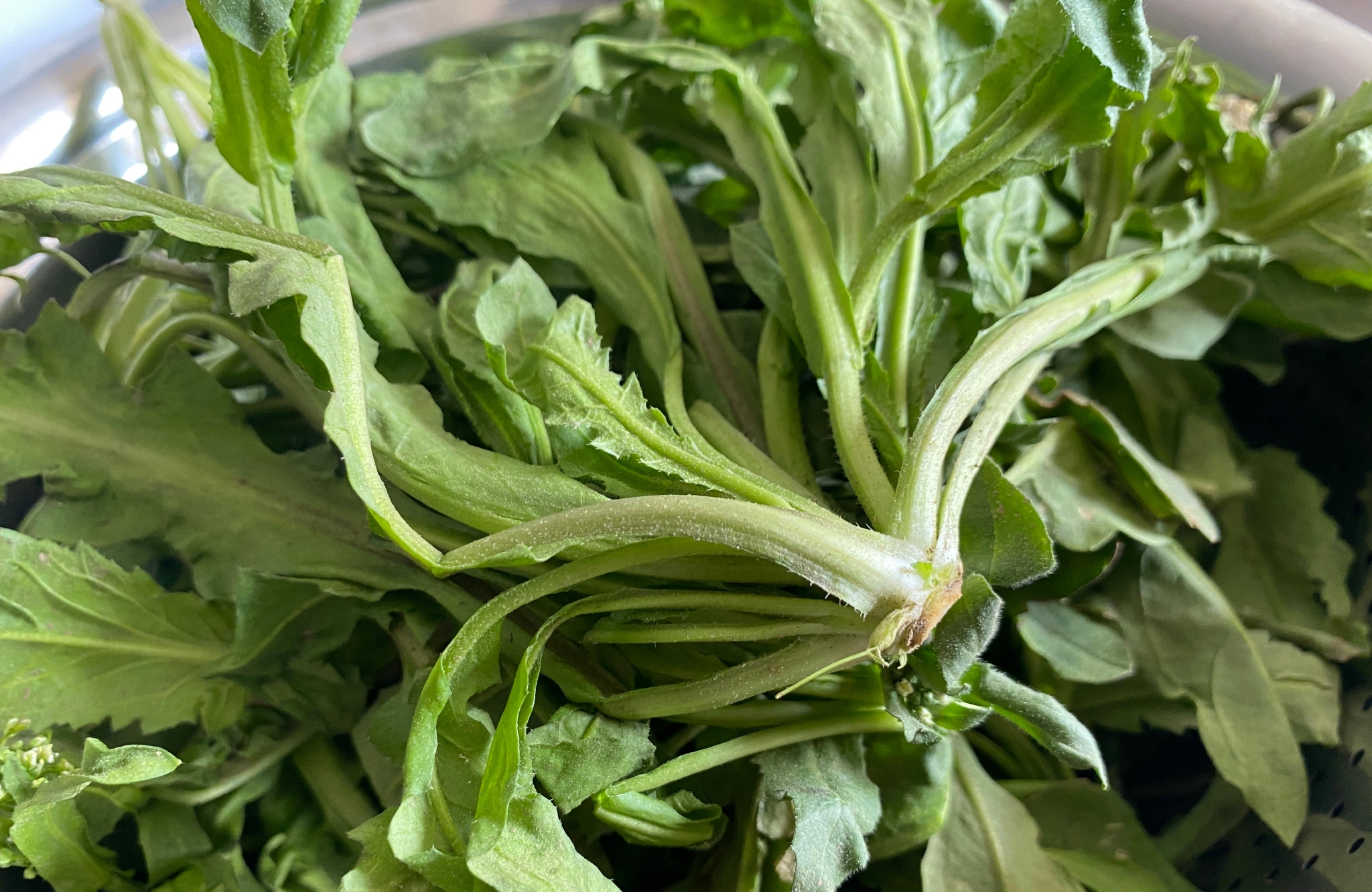 苏轼曾评价道:"君若知其味,则陆八珍