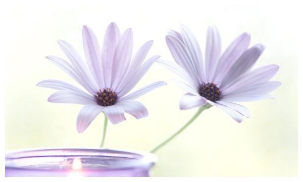 下礼拜 披荆斩棘 心情顺畅 天降喜运 难挡柔情 永不分离