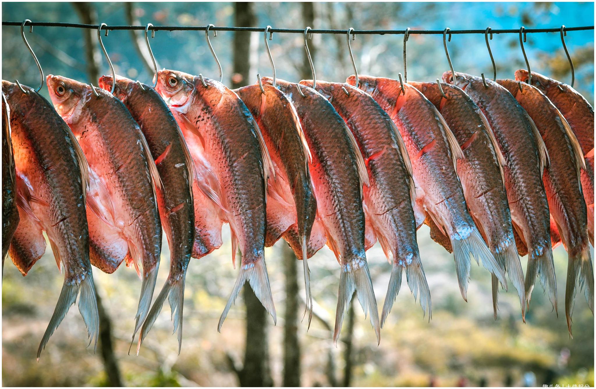 新鲜的鱼小伙伴们都吃过,但是腊鱼很多朋友却没有尝试过.