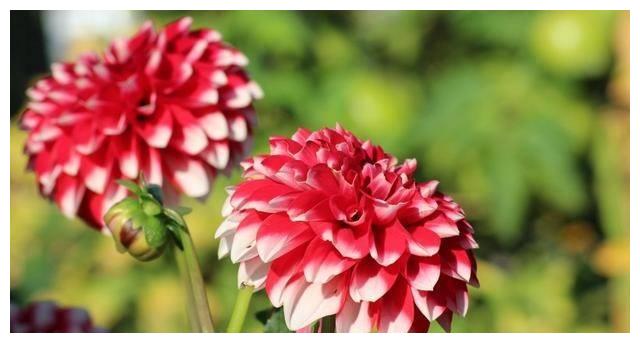 近期内,3星座熬过低谷期,好运不断,喜事连连,财源广发大财休闲区蓝鸢梦想 - Www.slyday.coM 近期内,3星座熬过低谷期,好运不断,喜事连连,财源广发大财休闲区蓝鸢梦想 - Www.slyday.coM