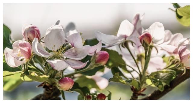 近期内,3星座熬过低谷期,好运不断,喜事连连,财源广发大财休闲区蓝鸢梦想 - Www.slyday.coM 近期内,3星座熬过低谷期,好运不断,喜事连连,财源广发大财休闲区蓝鸢梦想 - Www.slyday.coM