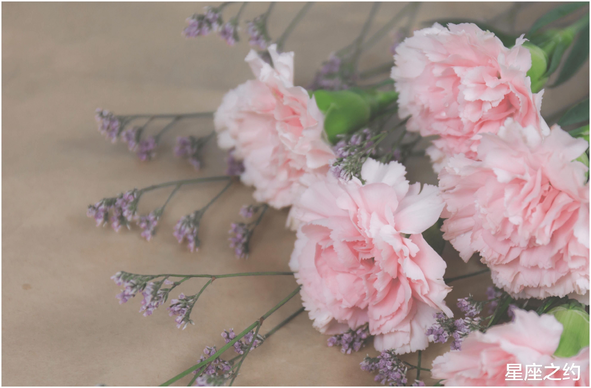 6月8日 14日星座运势 气势如虹 迎来曙光的四大星座 星座 运势 蝇头小利 新浪新闻