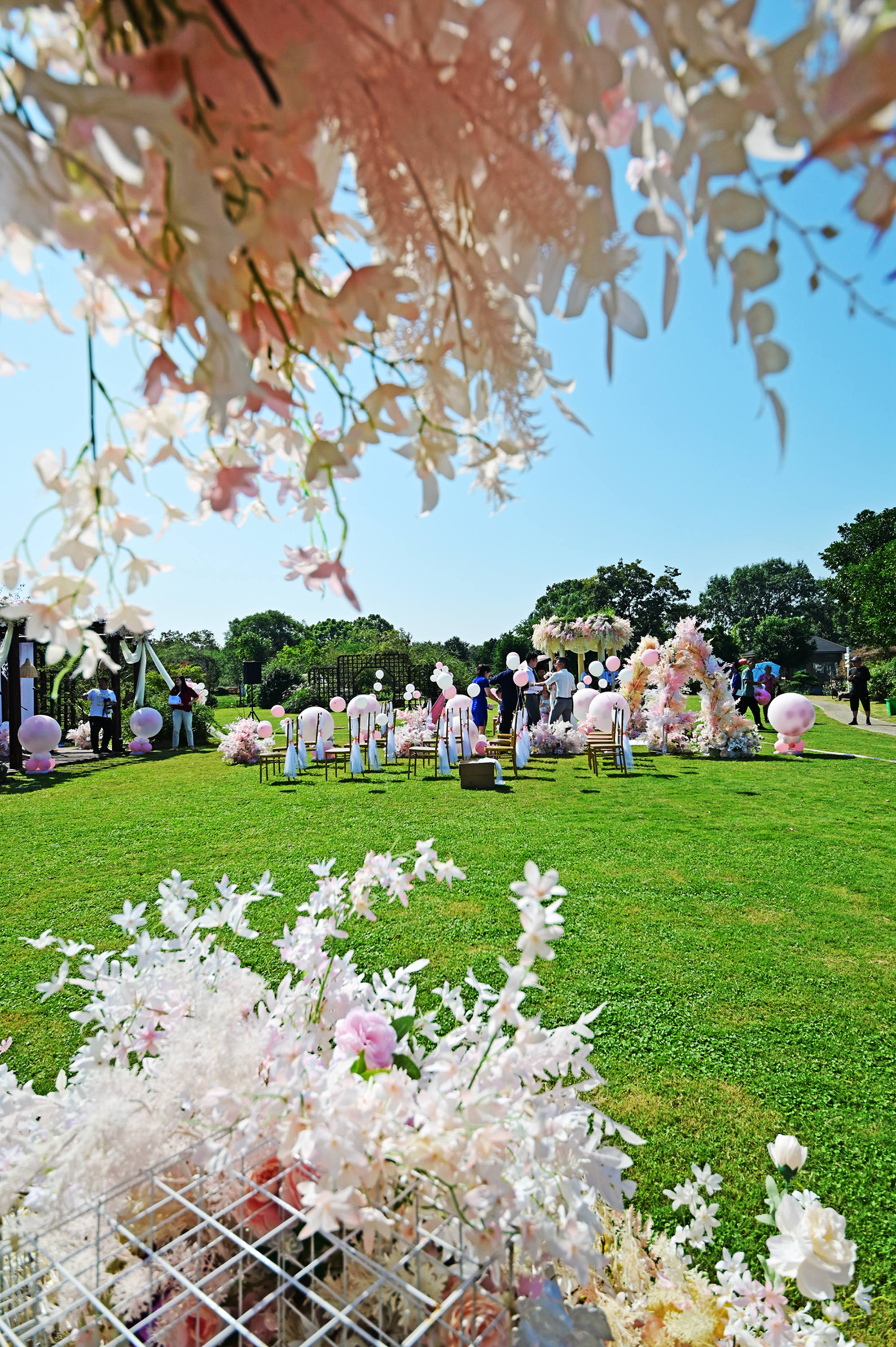 无锡鹅湖玫瑰园的草坪婚礼,温馨又浪漫,时尚有情调