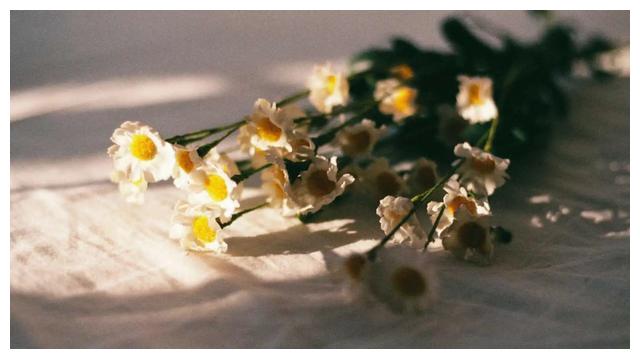 白羊座未来30天的发展,一些事情已经到了谷底,开始要回转了休闲区蓝鸢梦想 - Www.slyday.coM 白羊座未来30天的发展,一些事情已经到了谷底,开始要回转了休闲区蓝鸢梦想 - Www.slyday.coM