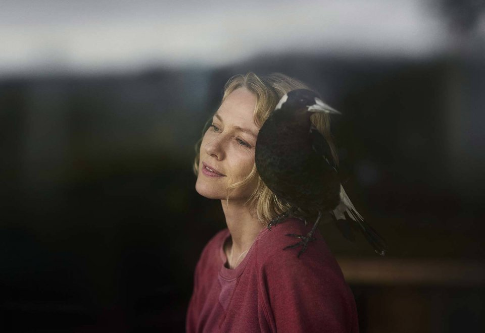 的新衍生剧题材分别是,"海蛇"科利斯·瓦列利安,多恩战士女王娜梅莉亚