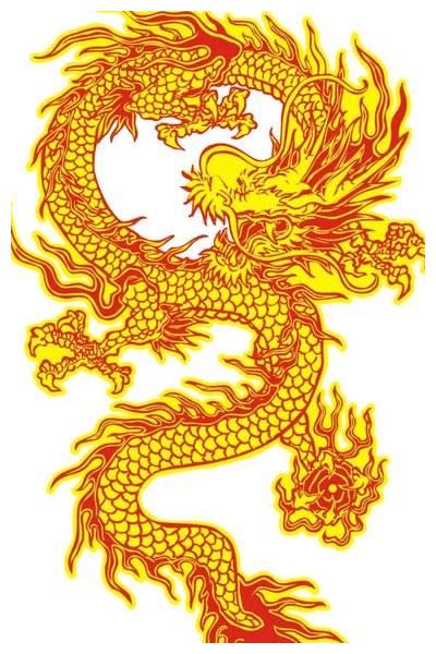 生肖龙人哪天出生最好