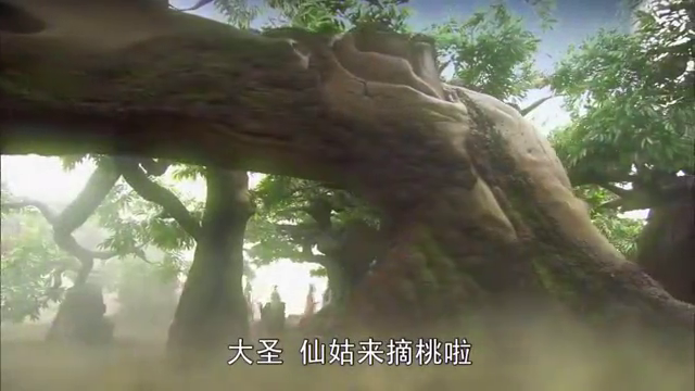 七仙女来到蟠桃园摘桃子,孙悟空得知王母娘娘居然没请他!