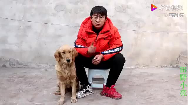 小亮把金毛当做自己的小宝宝,搂在怀里给它喂奶喝,真是太搞笑了