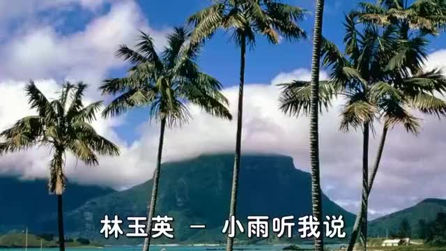 林玉英小雨听我说经典老歌