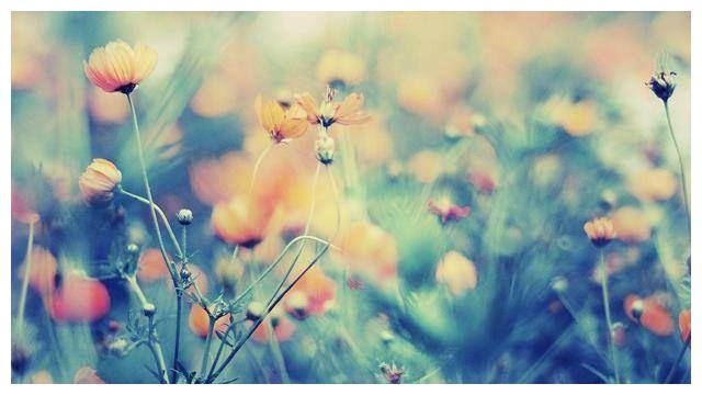 明天5月19日开始吉星相伴 事业顺 横财旺的生肖 生肖 财运 属兔 新浪新闻