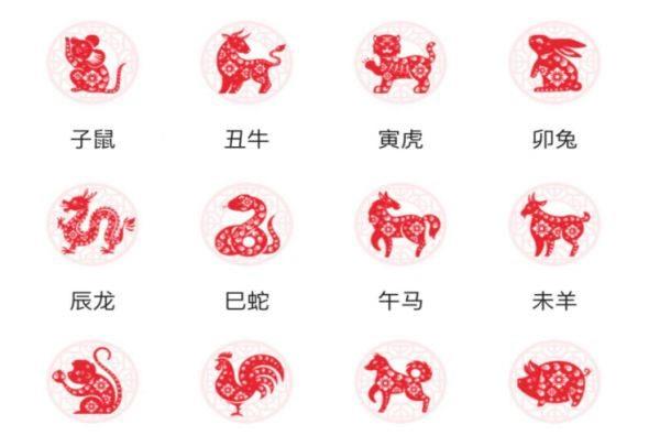 常识积累十二生肖文化