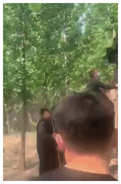山东冠县一男子出狱后“恋上”飞车抢包，所在村庄忽然出现了警犬