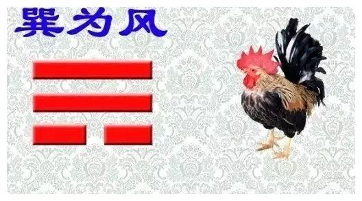 【周易】:洞晓阴阳乾坤:教你三分钟看八卦图|太极|先天|八卦图_新浪新闻