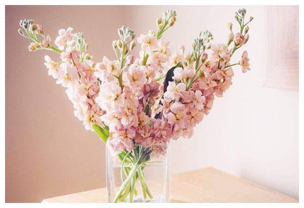 不轻易对别人说喜欢的星座,爱上对方,就会毫不犹豫追求休闲区蓝鸢梦想 - Www.slyday.coM 不轻易对别人说喜欢的星座,爱上对方,就会毫不犹豫追求休闲区蓝鸢梦想 - Www.slyday.coM