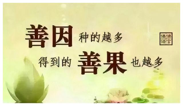 表妹的亲身经历告诉我们种善因结善缘积善果