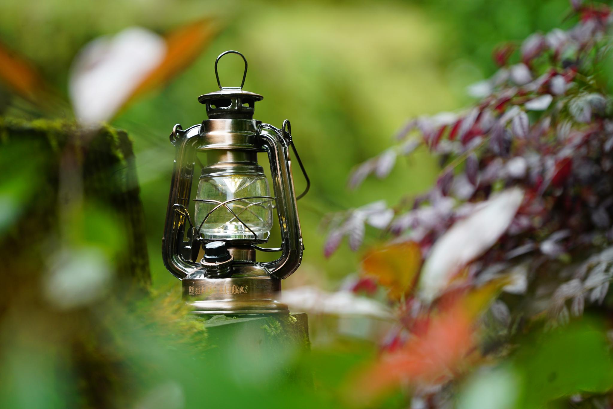 走进花茂村学党史探访照亮长征路上那盏马灯