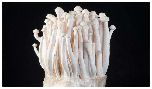 购买海鲜菇时挑选很重要牢记3不要买味道好吃口感佳