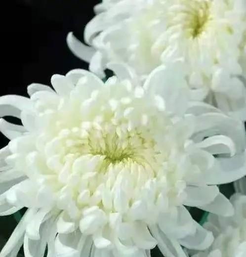 你，若过得好，无论我怎么想念你，我都会管住自己、不再去打扰你休闲区蓝鸢梦想 - Www.slyday.coM