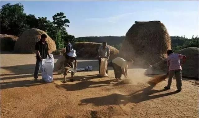 80张八十年代农村老照片,在农村长大的孩子们看哭没?