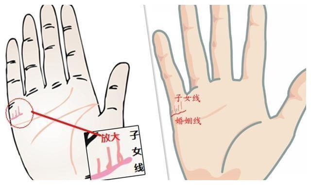 从手相看你的子女运配图