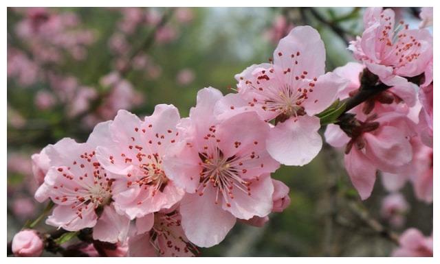 顯微鏡 顯微鏡最新消息 新闻 图片 视频 聚合阅读 新浪网 顯微鏡 顯微鏡最新消息 新闻 图片 视频 聚合阅读 新浪网