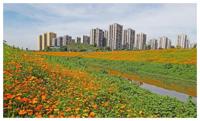 重庆又一个大型主题公园落户科学城占地1800亩投资超百亿