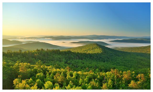 金旺土生,水木通根泄秀,金之旺气得到流通,富贵之象__财经头条