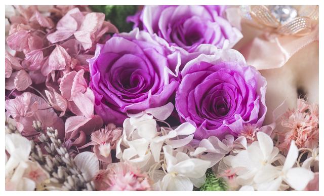 甲戌年柱的情感运 婚姻 甲戌 流年 新浪新闻 甲戌年柱的情感运 婚姻 甲戌 流年 新浪新闻