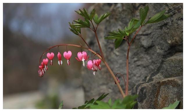 6月17日星座日运 摩羯运势消极 狮子凶多吉少 射手差强人意 运势 摩羯座 射手座 新浪新闻