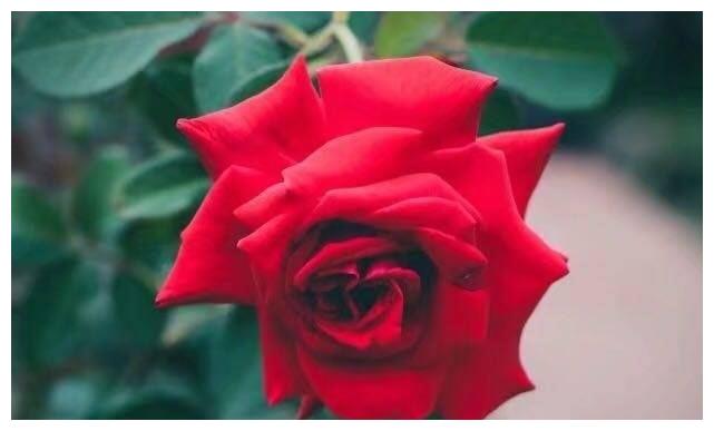 被这3大星座爱上有多幸运？不会说情话，却处处打动你的心休闲区蓝鸢梦想 - Www.slyday.coM