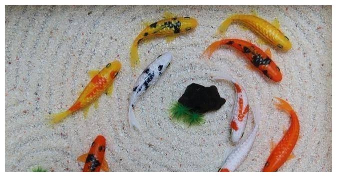 6月走上发财路,日进斗金生意旺,幸福来敲门的三生肖休闲区蓝鸢梦想 - Www.slyday.coM 6月走上发财路,日进斗金生意旺,幸福来敲门的三生肖休闲区蓝鸢梦想 - Www.slyday.coM