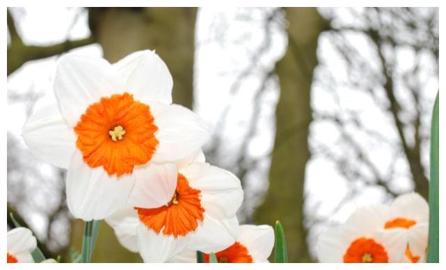 6月12日 18日星座运势 明确目标 配合默契的四大星座 星座 运势 出错率 新浪新闻