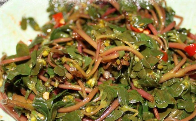 路边的这种野菜,杀菌功效比蒲公英好100倍,可惜十人九不知!