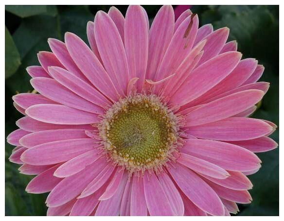 射手座逃不出这3种人的追求，一见钟情，爱到心底里也不为过休闲区蓝鸢梦想 - Www.slyday.coM