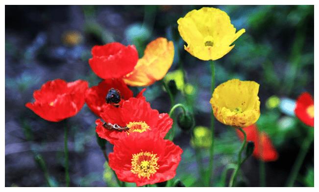 10月财运变大,婚礼即将到来,致富之路顺利的3生肖,结束单身休闲区蓝鸢梦想 - Www.slyday.coM 10月财运变大,婚礼即将到来,致富之路顺利的3生肖,结束单身休闲区蓝鸢梦想 - Www.slyday.coM