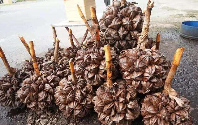 越南一泛滥的水果，自己人不爱吃中国人却超喜欢，你吃过吗？