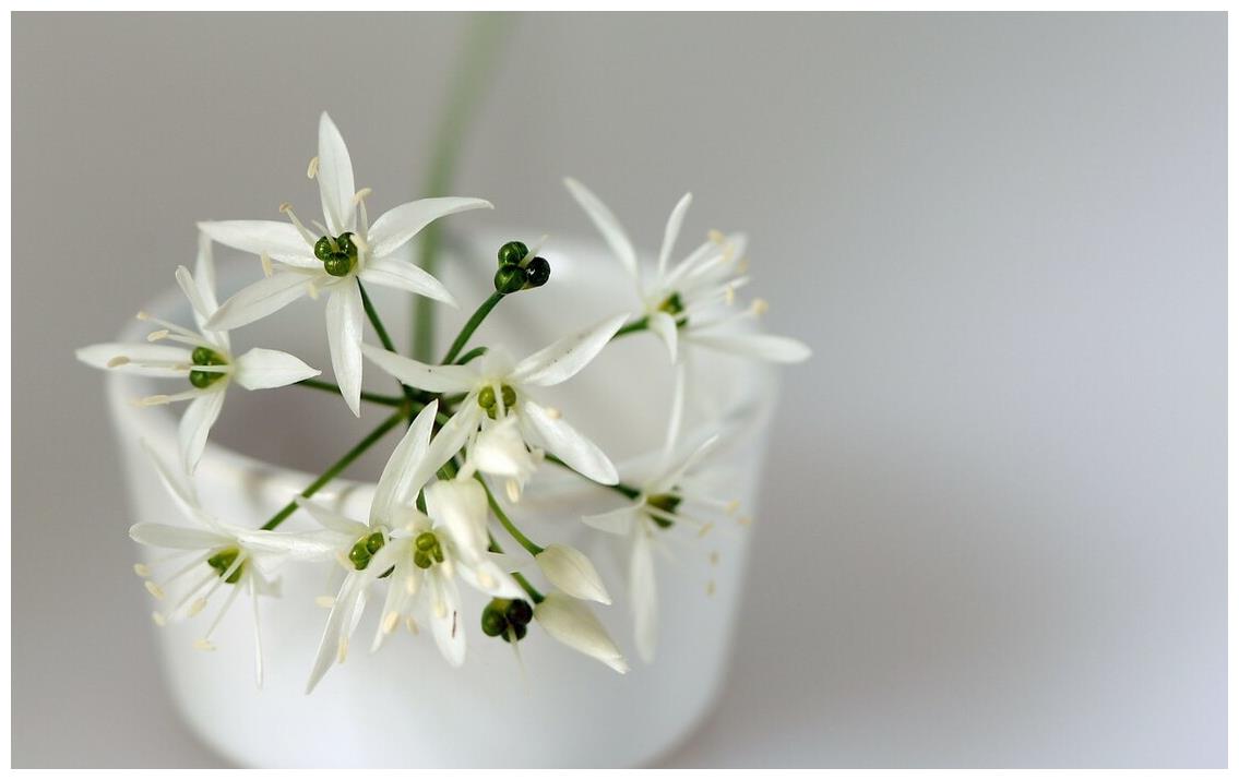爱时说过的话，只有还爱才作数，与巨蟹座之间，始末关系有点复杂休闲区蓝鸢梦想 - Www.slyday.coM