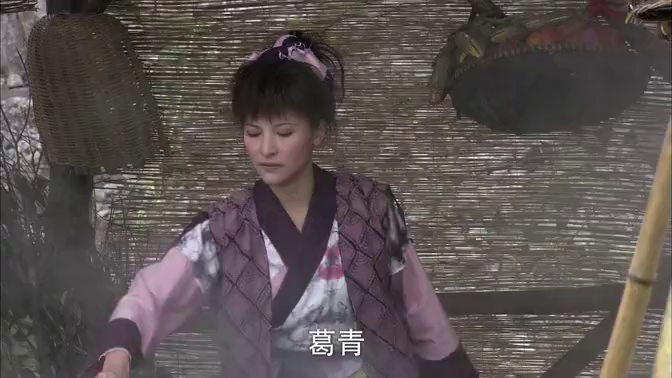 丐帮帮主被魏豹打成重伤葛青瞒着薛平贵前去报仇