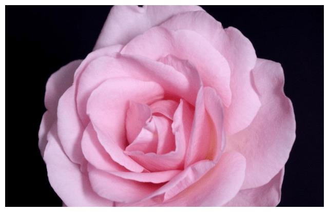 3个月后步行狗屎运,收入多,生活顺利,光耀门第4生肖休闲区蓝鸢梦想 - Www.slyday.coM 3个月后步行狗屎运,收入多,生活顺利,光耀门第4生肖休闲区蓝鸢梦想 - Www.slyday.coM