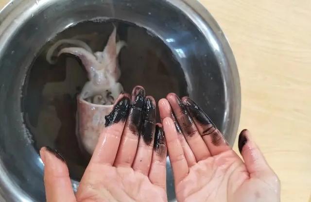 墨鱼的墨汁到底是什么真可以吃吗很多人不清楚涨知识了