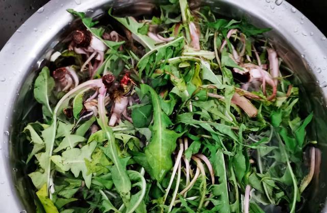 天气热了最爱凉拌菜野菜蘸酱也非常棒超级下饭菜做法简单