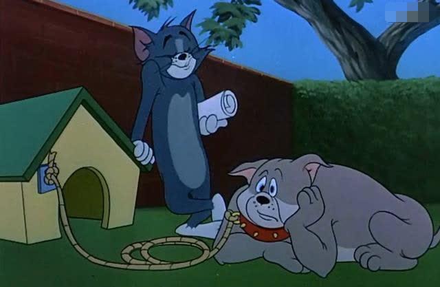 野马斯派卡7座报价及图片