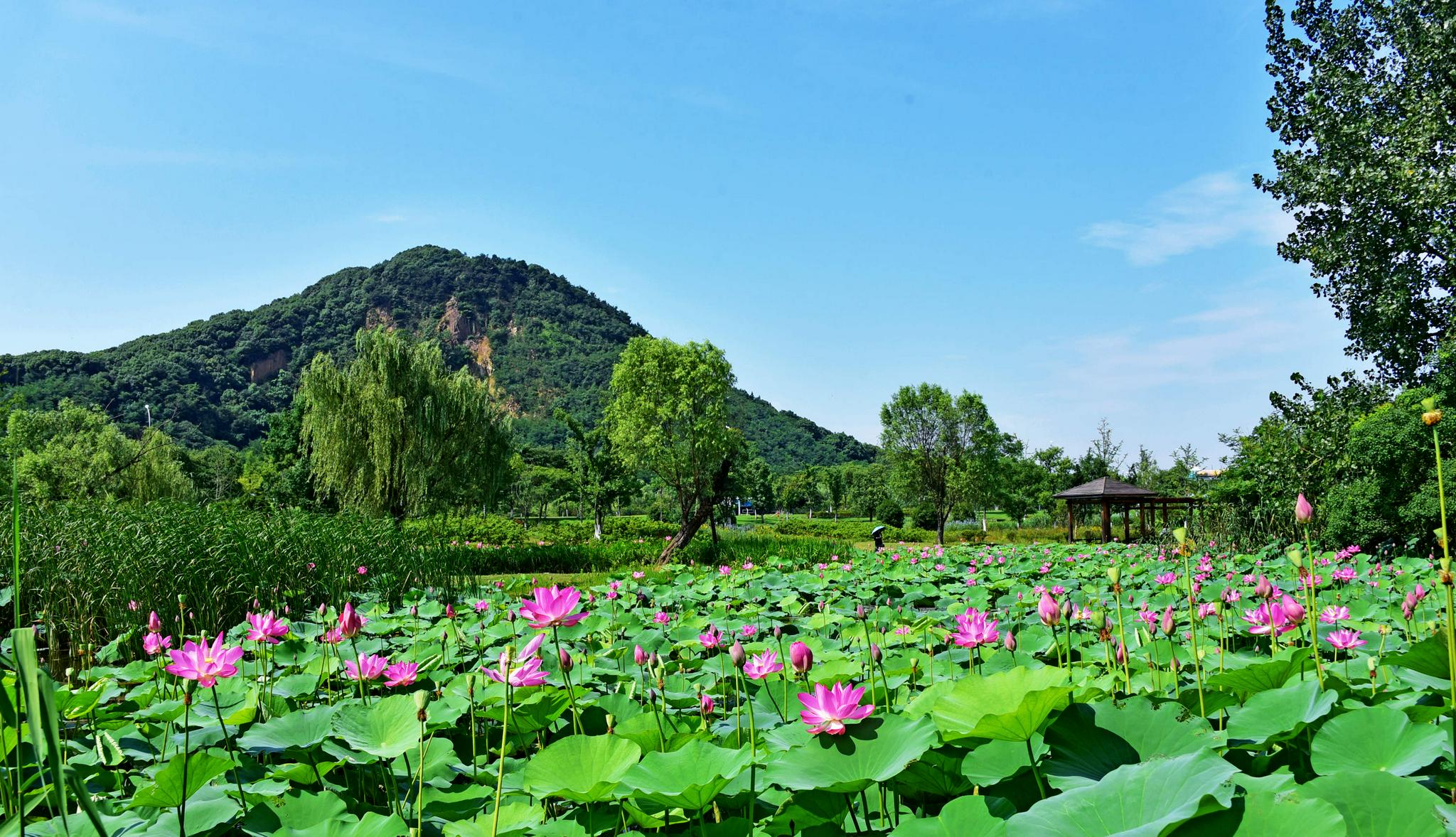 江苏无锡锡山区安镇翠屏山旅游度假区.