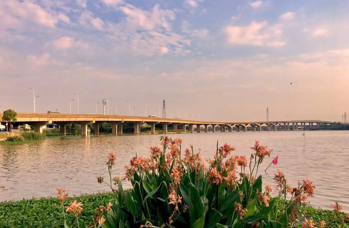 落日小景野芷湖武汉市洪山区