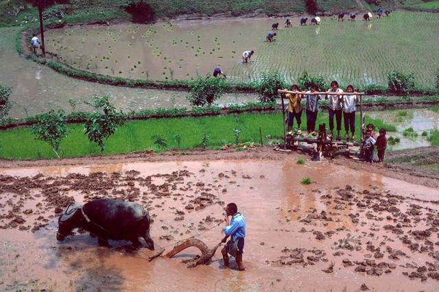 80张八十年代农村老照片,在农村长大的孩子们看哭没?