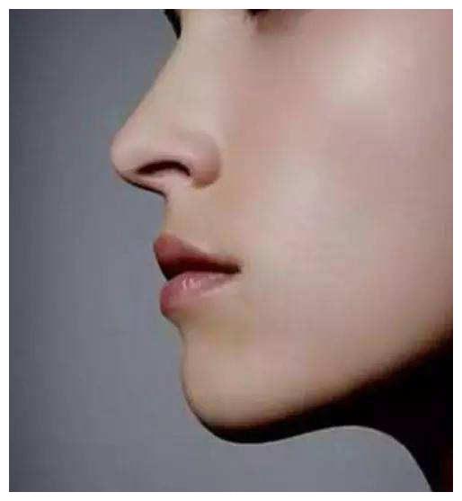 一,木型鼻,高而瘦长的伏犀鼻.这样的鼻子就是鼻子高,比较少肉.