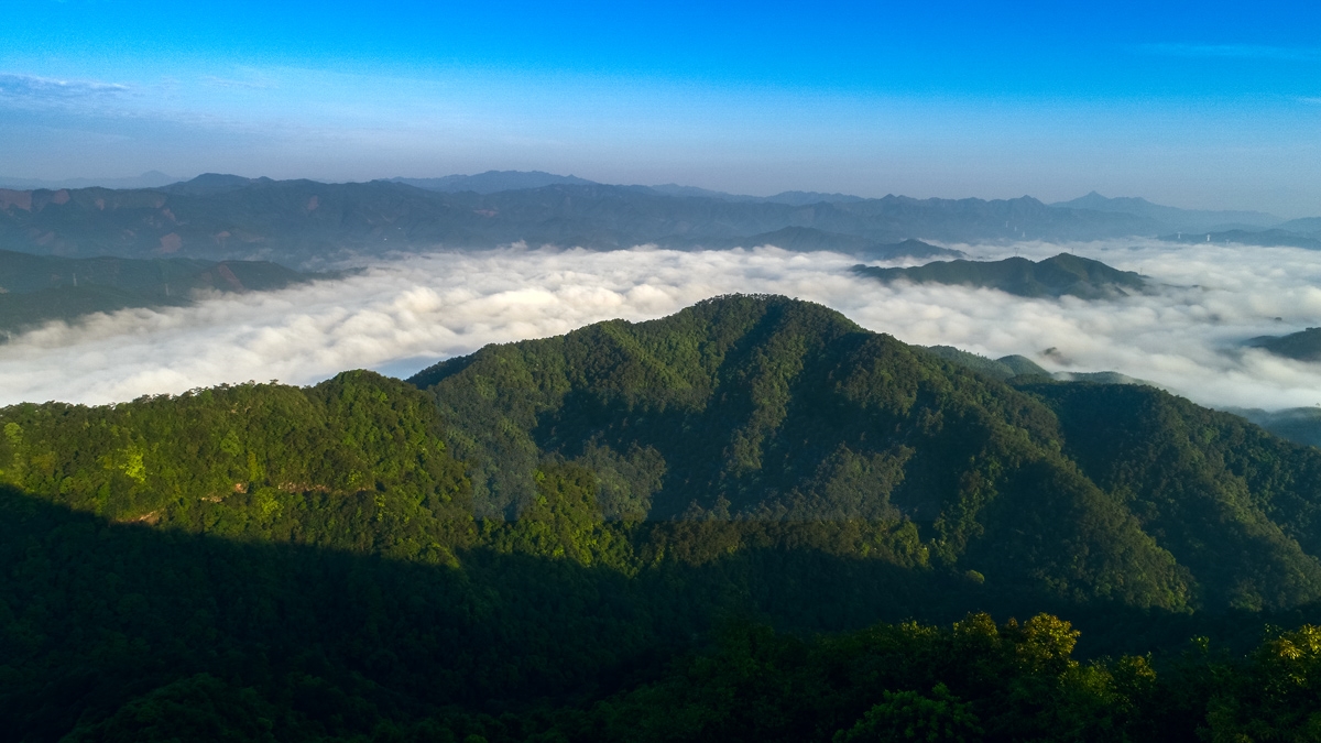 广西一座山,被打造成广西第一个国家级森林公园,地处三省交界