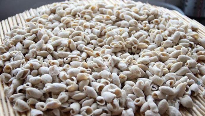 绥德特色小吃——圪坨__财经头条