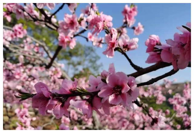 2月6日 3月1日 求财来财 爱情事业皆旺的4大生肖