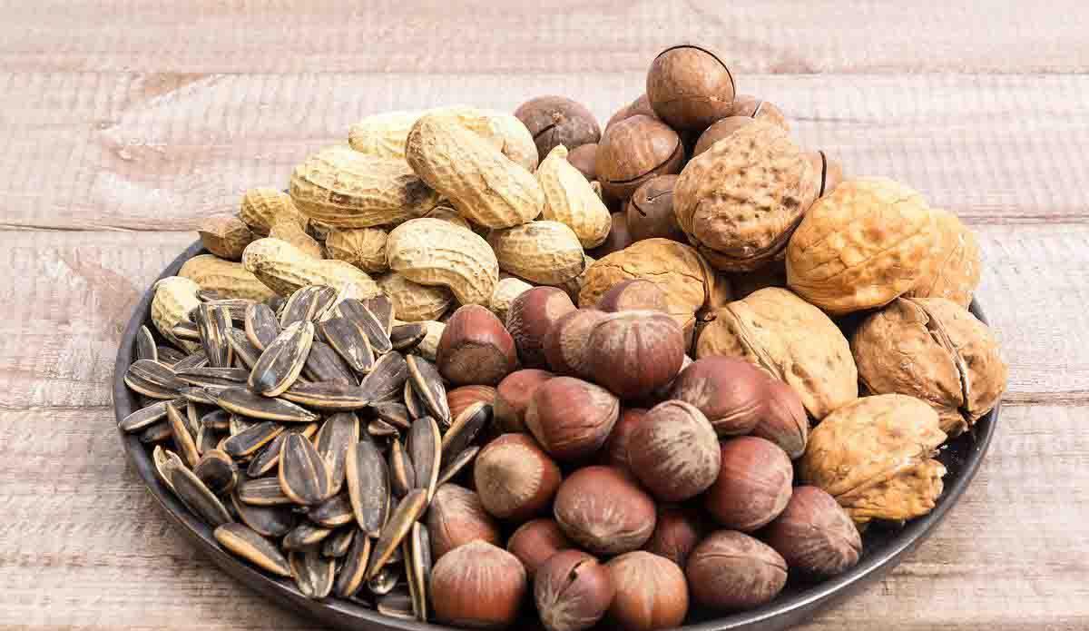 养花缺肥不用怕,花生瓜子扔花盆,叶子绿的滴出油,大白根呼呼冒